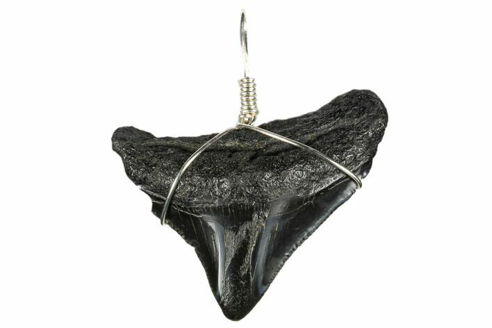Fossil Megalodon Tooth Necklace #173826